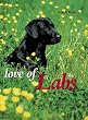 Love of Labs