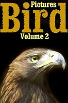 Bird Pictures - Volume 2-From Free Kindle Books Library Click to Download Free Kindle Book -> Bird Pictures - Volume 2