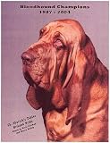 Bloodhound Champions, 1987-2004