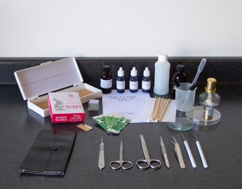 Microscope Slide Making Set - Level AA