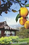 The Summer We Fell Apart: A Novel