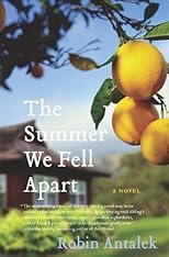 The Summer We Fell Apart