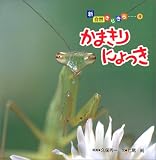 かまきりにょっき