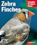 Zebra Finches