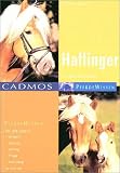 Haflinger: Eine kleine