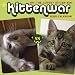 Books : 2009 Wall Calendar: Kittenwar (Wall Calendar)