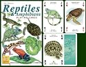 Reptile and Amphibian Standard Poker Playing Card Deck featuring Turtle, Snake, Lizard, Frog, Chamelean, Gecko