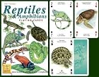 Reptile and Amphibian Standard Poker Playing Card Deck featuring Turtle, Snake, Lizard, Frog, Chamelean, Gecko