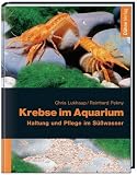 Produkt-Bild: Krebse im Aquarium. Haltung und Pflege im S&uuml;&szlig;wasser