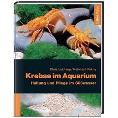 Krebse im Aquarium. Haltung und Pflege im S��wasser