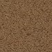 Indus Organics Authentic Indian Garam Masala Powder, 1 Lb Jar, Salt Free, Premium Grade, Freshly Packed
