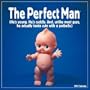 The Perfect Man 2004 Wall Calendar