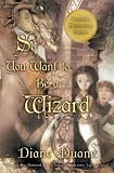 So You Want to Be a Wizard