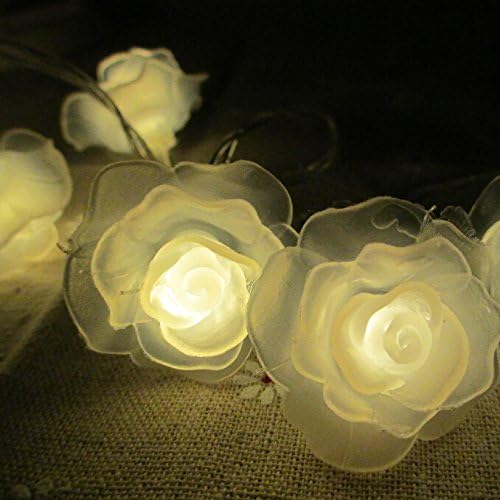 LEAZEAL Battery Operated Warm White 30 LED Rose Fairy Light String for Christmas Tree, Xmas, Indoor, Bedroom, Party