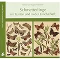 Schmetterlinge im Garten und in der Landschaft