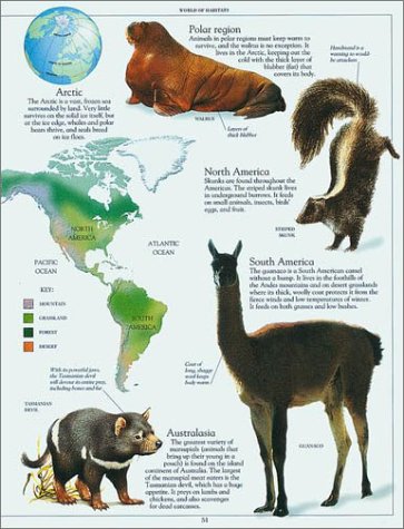 Cover image : Animal Encyclopedia