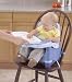Baby : Safety 1st Deluxe Care Fold-Up Booster Seat in Blue