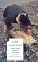 Living on the Land: Change Among the Inuit of Baffin Island