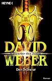 Der Schwur. Schwerter des Zorns 01.