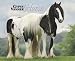 Gypsy Vanner Horse 2010 Calendar