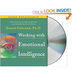 Working with Emotional Intelligence