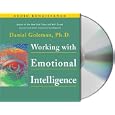Working with Emotional Intelligence by Daniel Goleman
