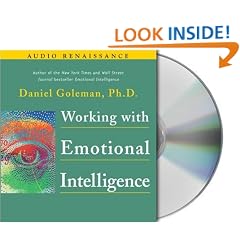 Working with Emotional Intelligence
