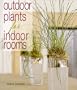 Outdoor Plants for Indoor Rooms