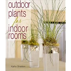 Outdoor Plants for Indoor Rooms