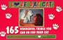 Love DAT Cat