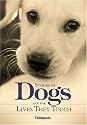 Stories of Dogs and the Lives They Touch