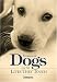 Stories of Dogs and the Lives They Touch