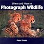 Where and How to Photograph Wildlife