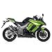 Leo Vince 8452 Factory R EVO II Full-Ti Slip-On Exhaust Kawasaki Ninja, Z 1000 10 11