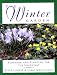 The Winter Garden: Planning and Planting for the Southeast