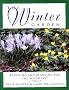The Winter Garden: Planning and Planting for the Southeast