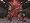 Quake III : Arena