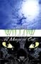 Willow: A Magical Cat