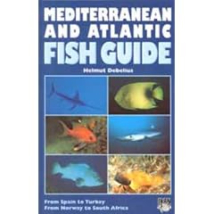 Mediterranean and Atlantic Fish Guide