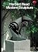 Concise History of Modern Sculpture (World of Art)