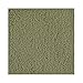 Sunbeam Microtec Ultra-Soft Heated Electric Throw Blanket - Sage Green