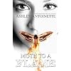 Moth To A Flame