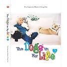 The Dogs In...