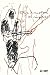 DVD : Eric Clapton: 24 Nights