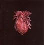 More Heart Than Brains