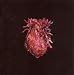 More Heart Than Brains [Vinyl LP]