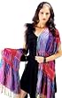 Multi Vibrant Fantastic Floral Viscose Pashmina Paisley Fushcia Scarf / Muffler (76"x15")