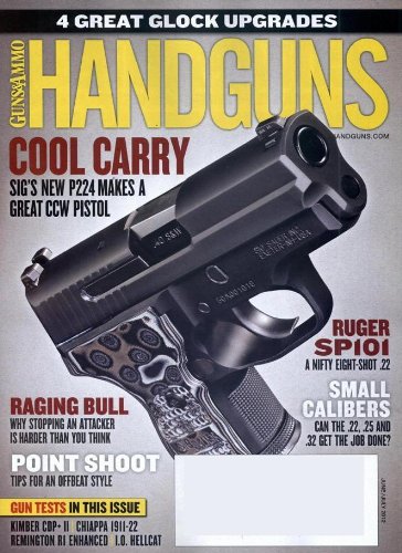 Handguns (1-year auto-renewal)
