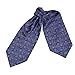 ERA1B04-06 Paisley Cravat Woven Microfiber Mens Ascot Perfect Design By Epoint