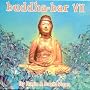 Buddha Bar, Vol. 7